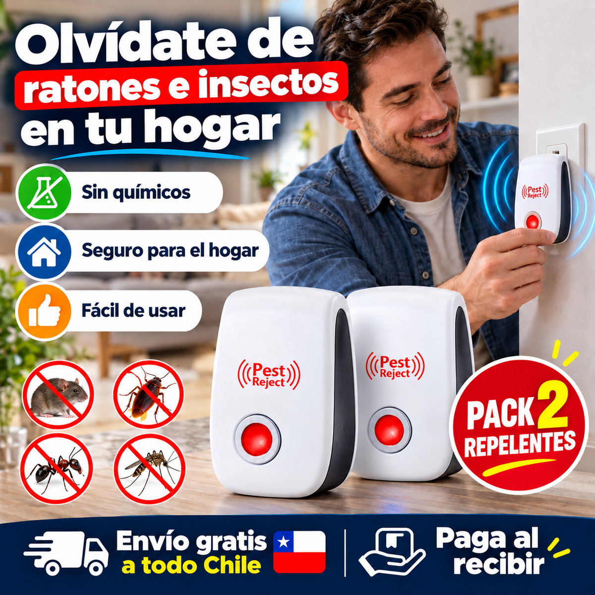¿Cansado de encontrar bichos o escuchar ratones en la casa?